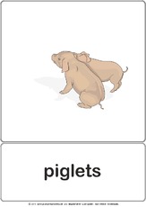 Bildkarte - piglets.pdf